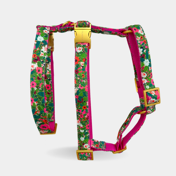 safety harness EVERGREEN