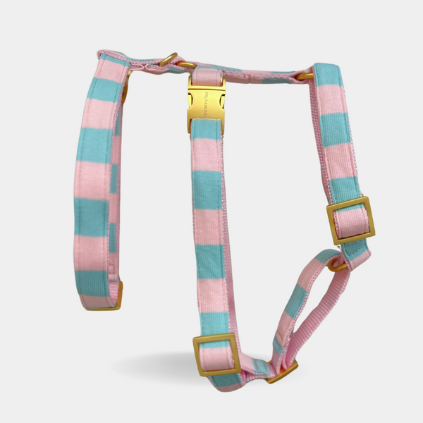 safety harness EVERGREEN