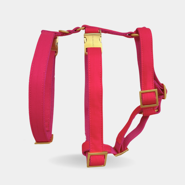 safety harness EVERGREEN