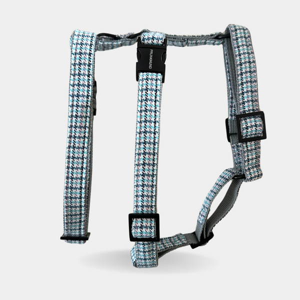 WALES safety harness