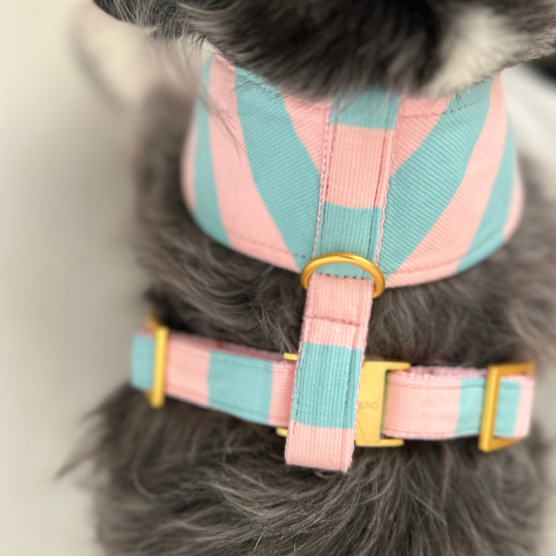 EVERGREEN SOFT HARNESS