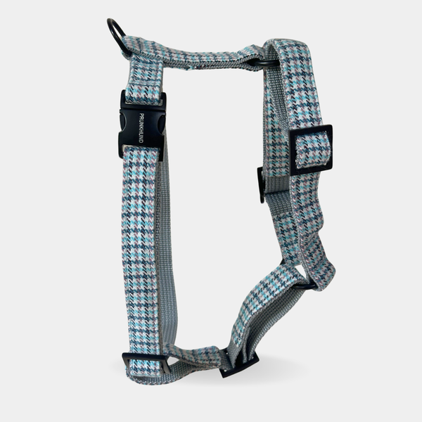 dog harness WALES