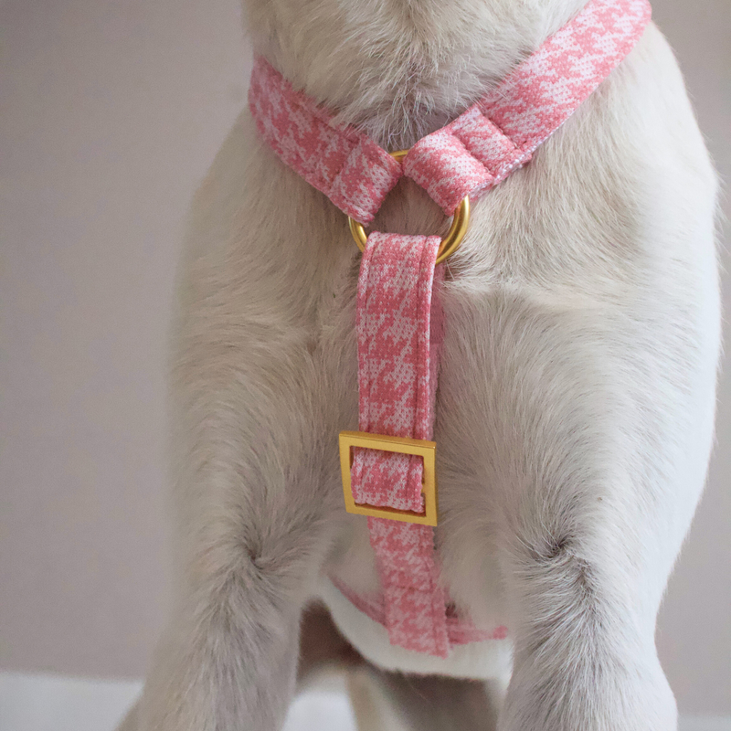 WINDSOR DOG HARNESS