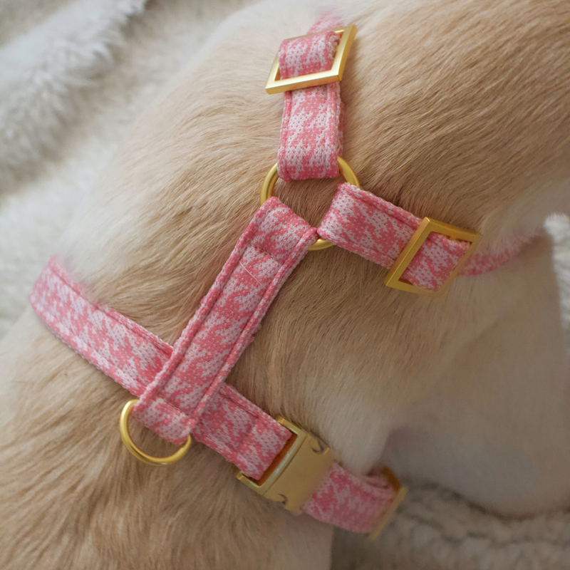 WINDSOR DOG HARNESS