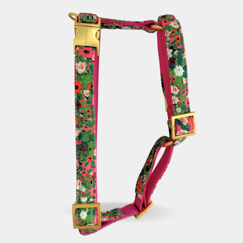 dog harness EVERGREEN