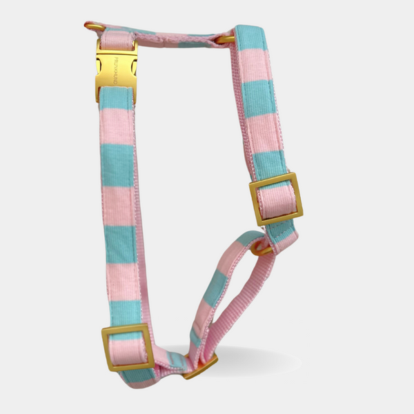 dog harness EVERGREEN