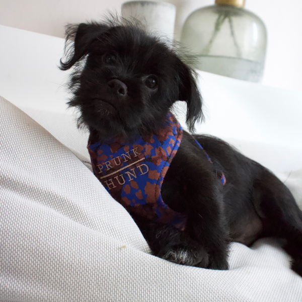 PORTOBELLO black soft harness