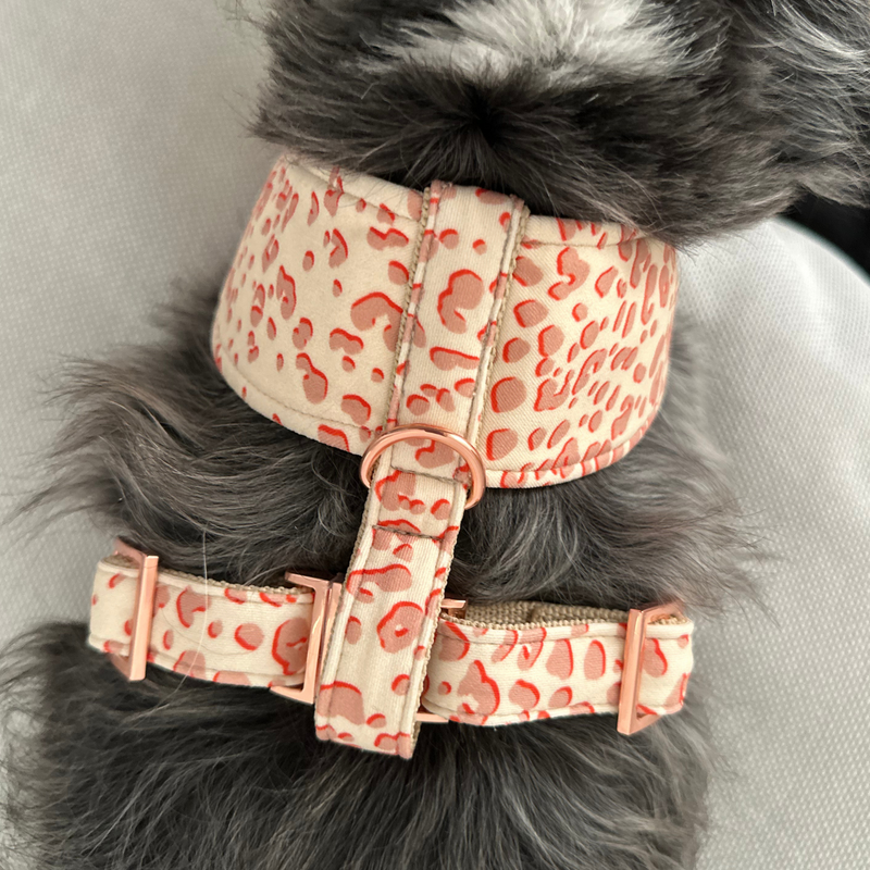 TEDDY blush soft harness