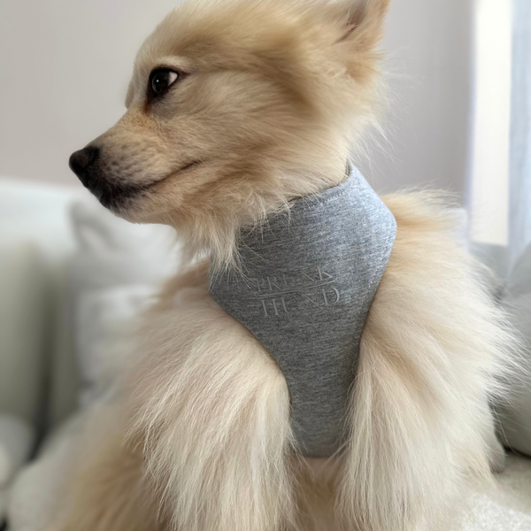 CASUAL soft harness