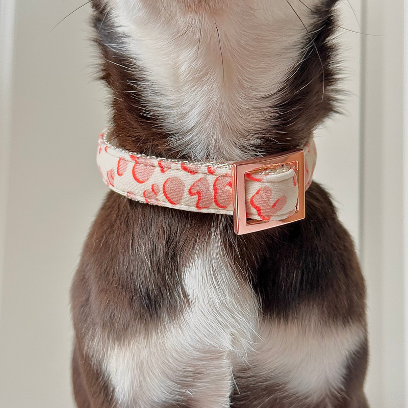 ECLIPSE collar