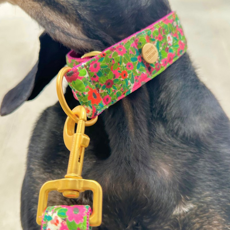 martingale CHESTNUT collar