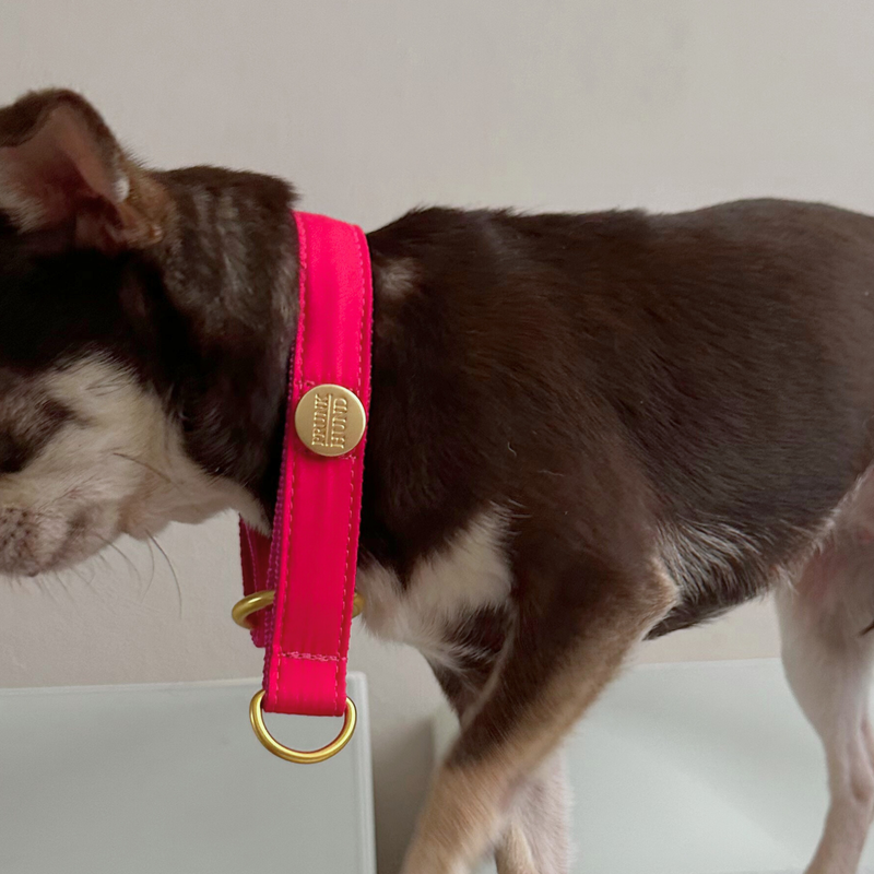 martingale CHESTNUT collar