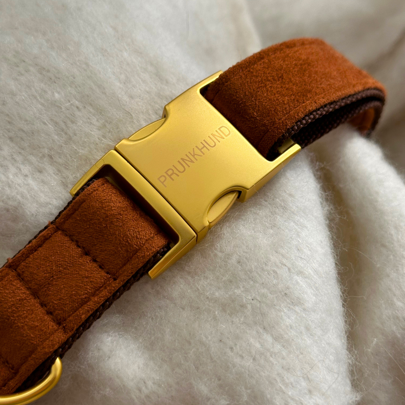 CHESTNUT collar