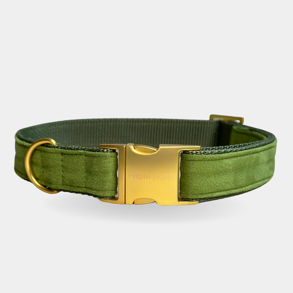 Halsband EVERGREEN