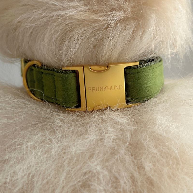 EVERGREEN collar