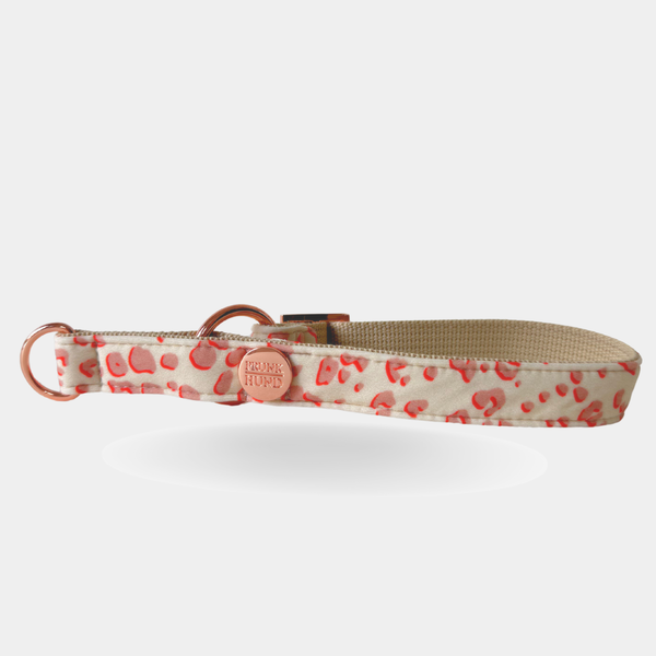 martingale collar ECLIPSE 