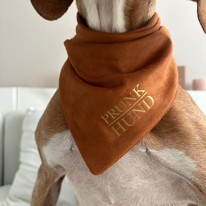 Dog bandana CHESTNUT