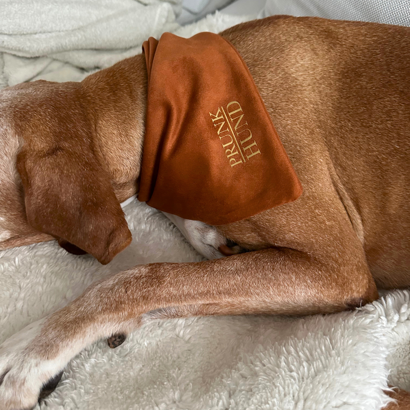 Dog bandana CHESTNUT