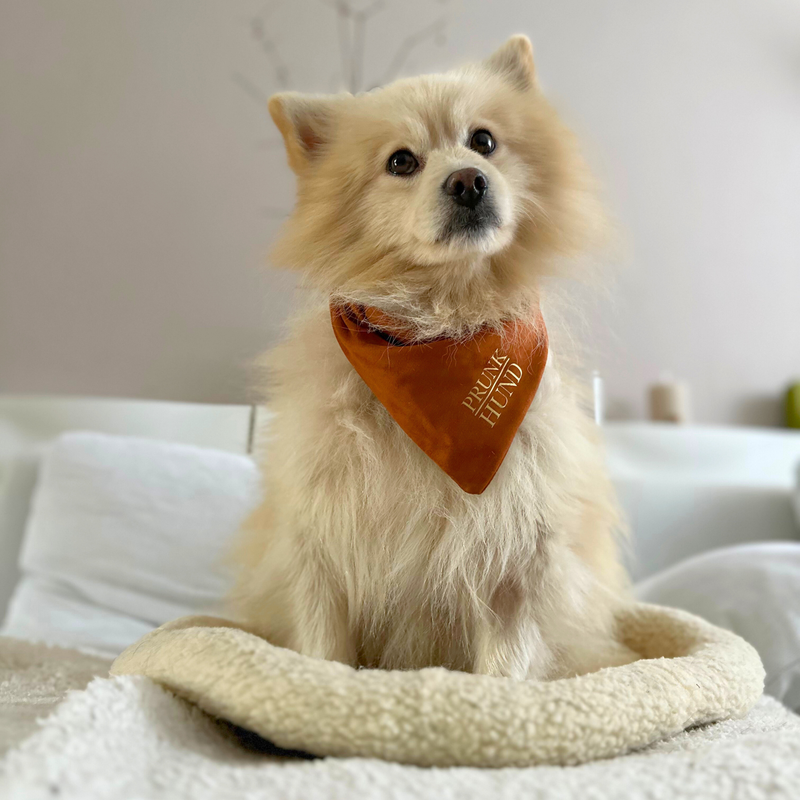 Dog bandana CHESTNUT