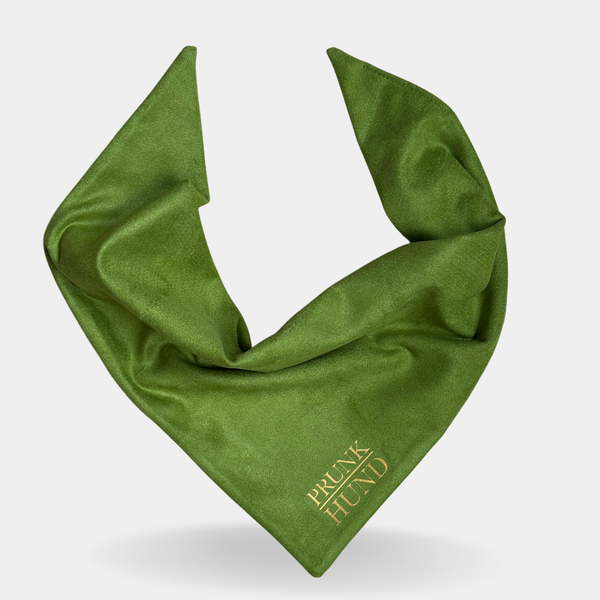 Dog bandana EVERGREEN