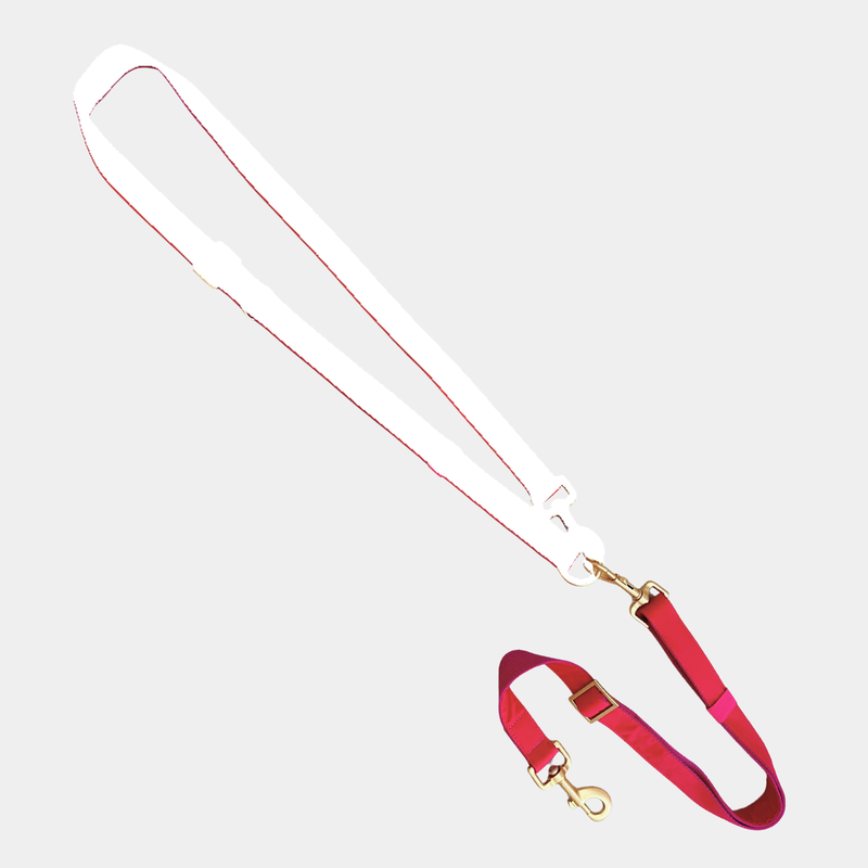 ESSENTIAL additional leash EVERGREEN