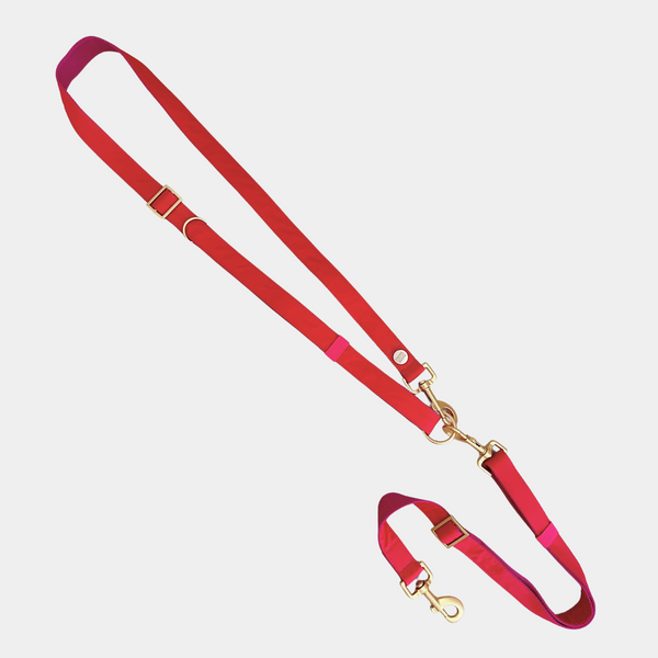 ESSENTIAL leash EVERGREEN