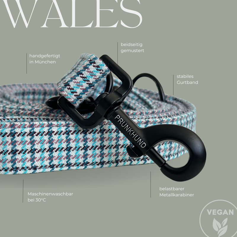 Leash WALES