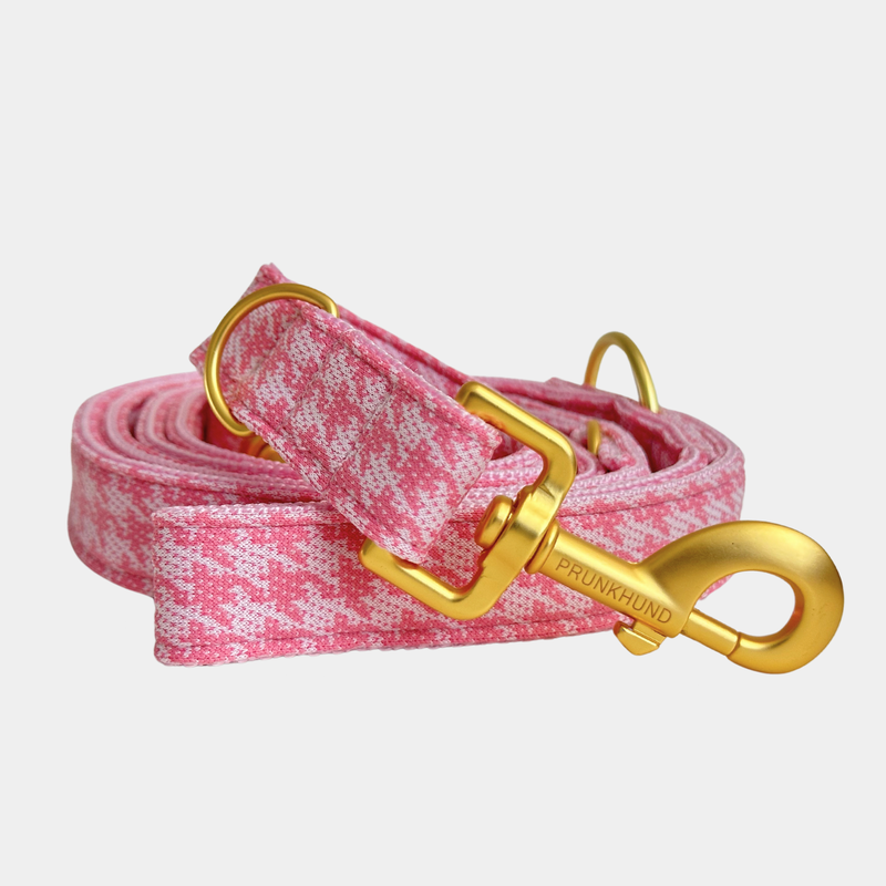 WINDSOR leash