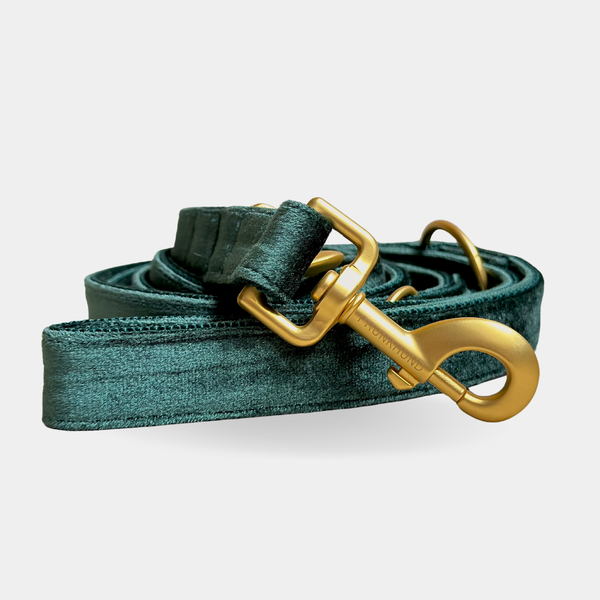 PINE leash