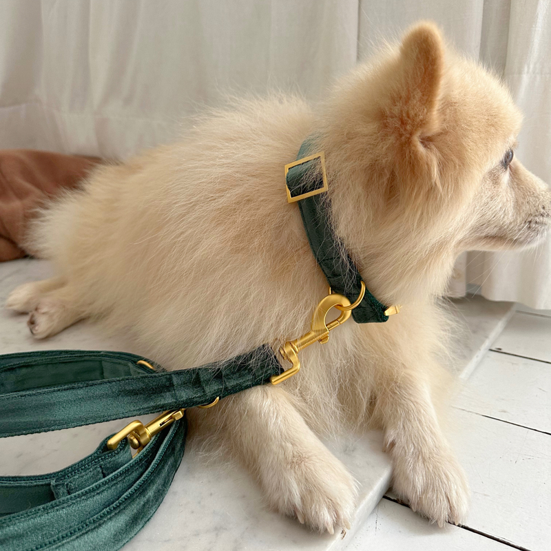 PINE leash