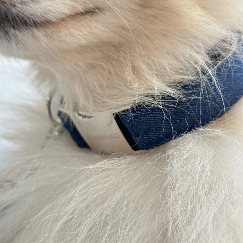 DENIM collar