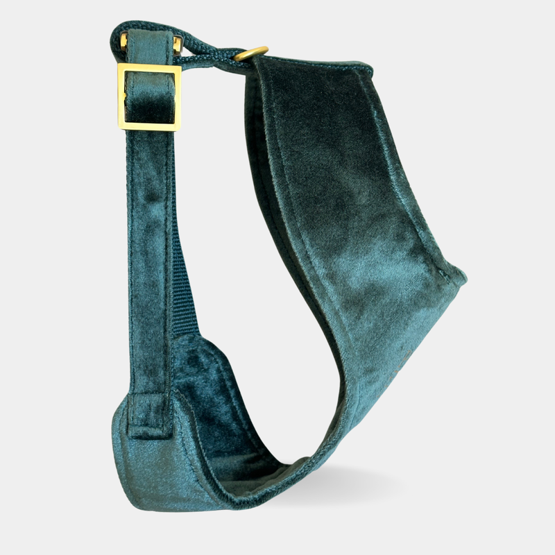 PINE SOFT HARNESS