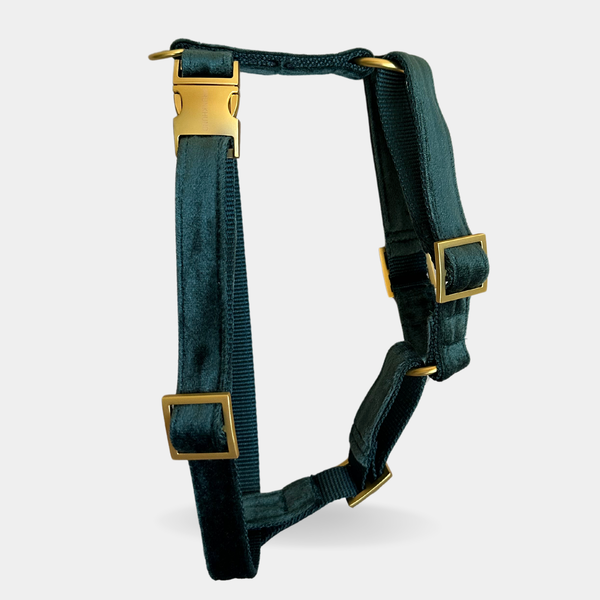 DOG HARNESS PINE