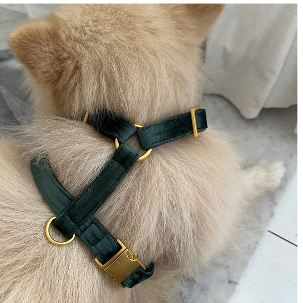 DOG HARNESS PINE