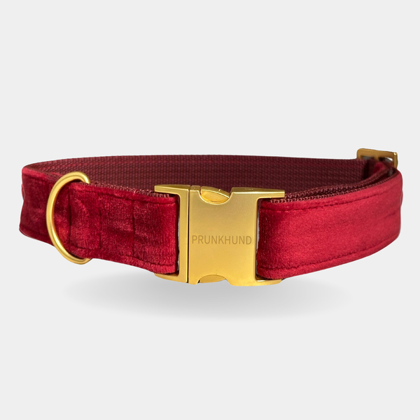 SANTA BABY collar