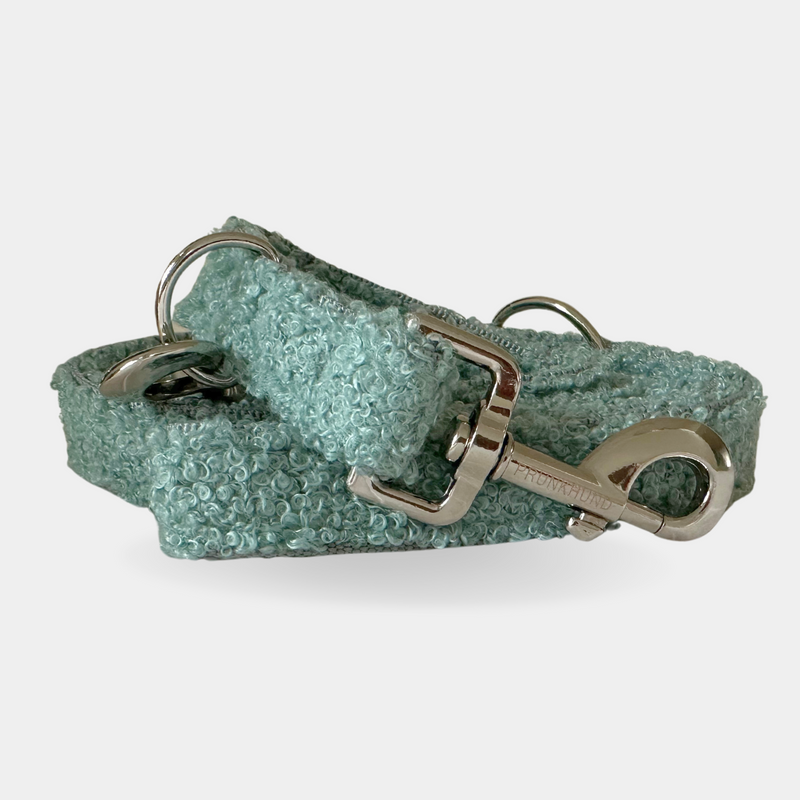 TEDDY mint leash