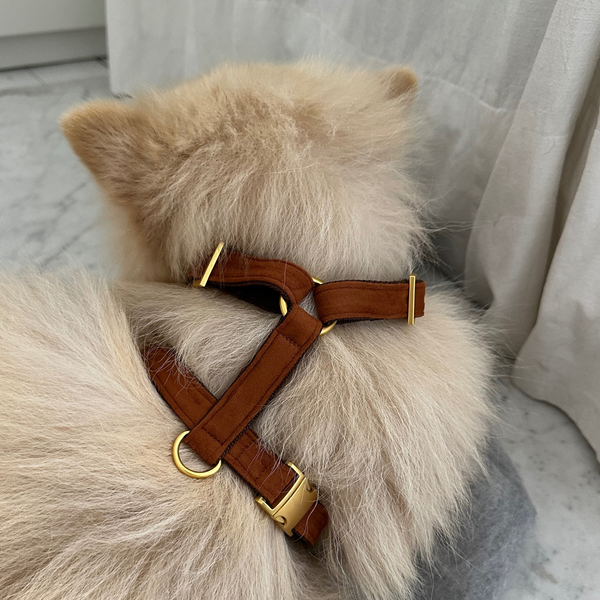 CHESTNUT DOG HARNESS