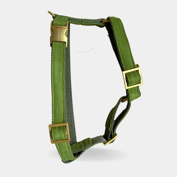 DOG HARNESS EVERGREEN