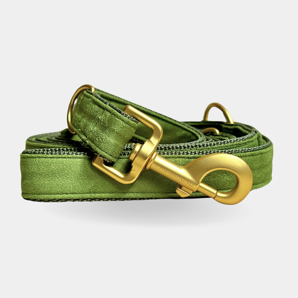 EVERGREEN leash