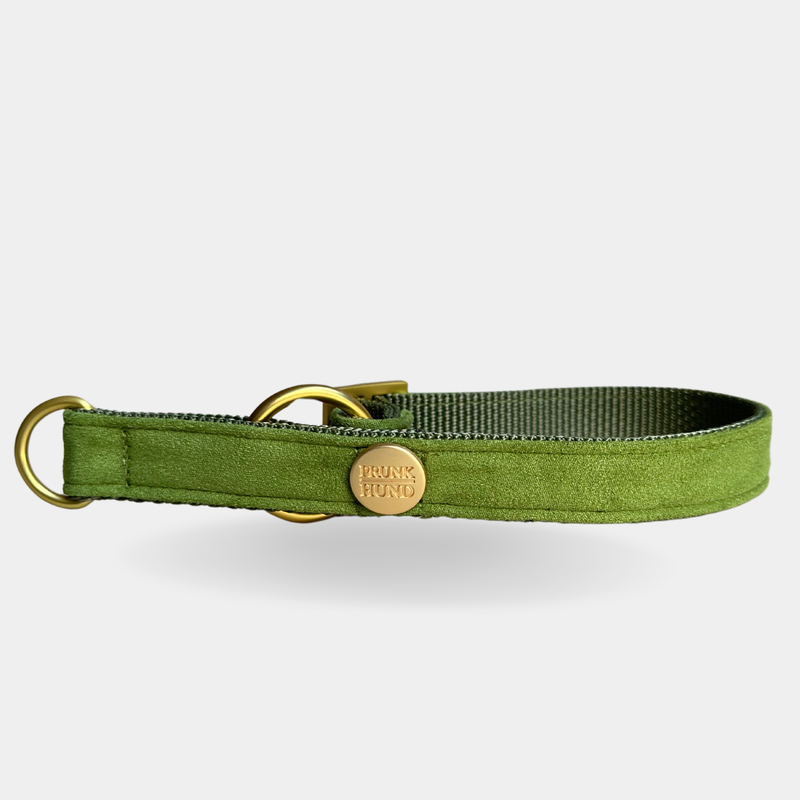 Zugstopp Halsband EVERGREEN