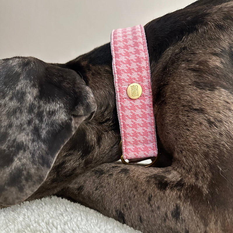 martingale collar WINDSOR